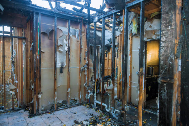 Professional Soot Cleanup technician working in Louisa, KY